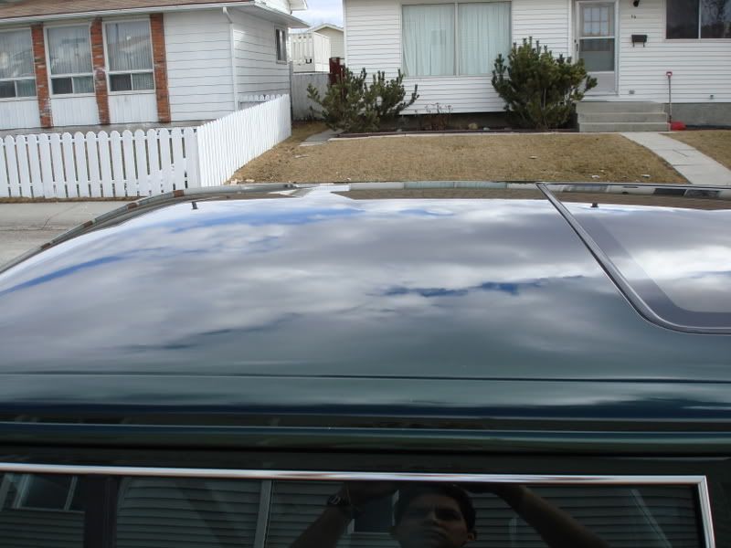 DSC00703.jpg