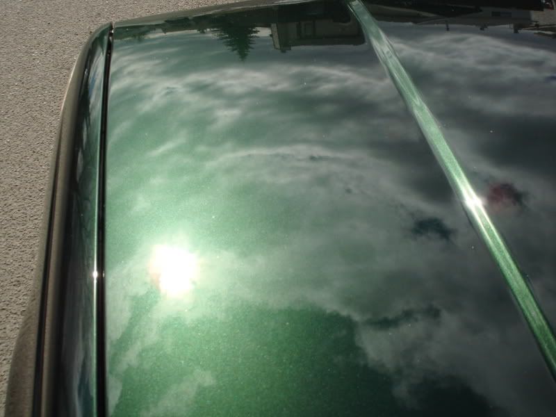 DSC00705.jpg
