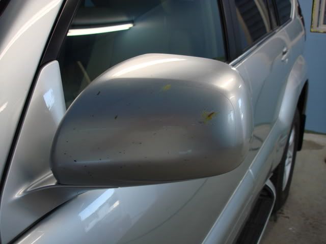 DSC02543.jpg