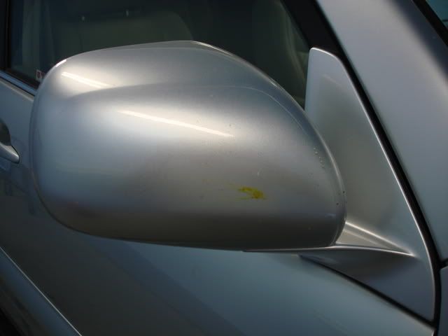 DSC02549.jpg