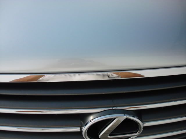 DSC02555.jpg