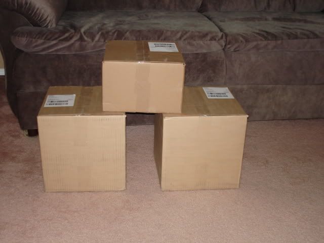 DSC02278.jpg