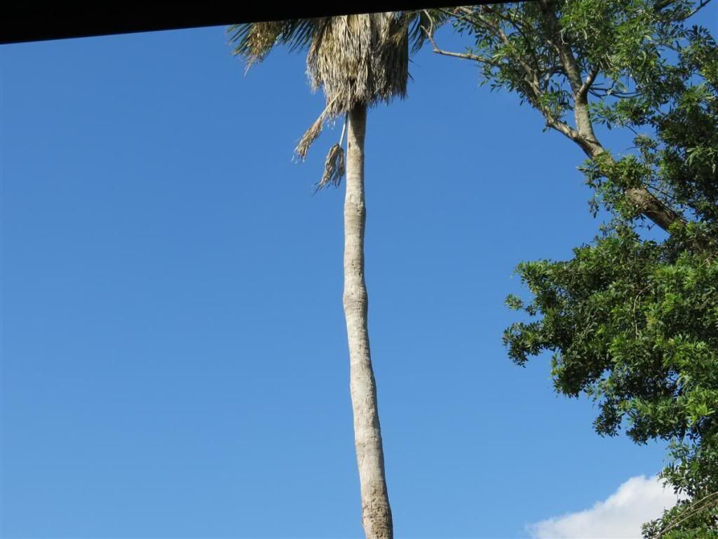Backyardshots003-Copy.jpg