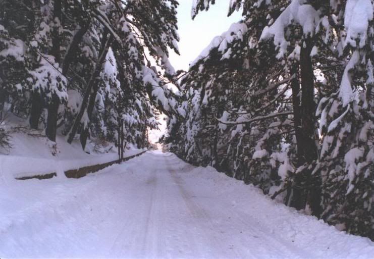 http://i135.photobucket.com/albums/q123/Ayduran/yozgat/camlik4.jpg