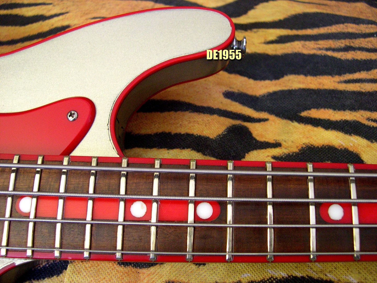 Baj_Morgan-1m-007.jpg