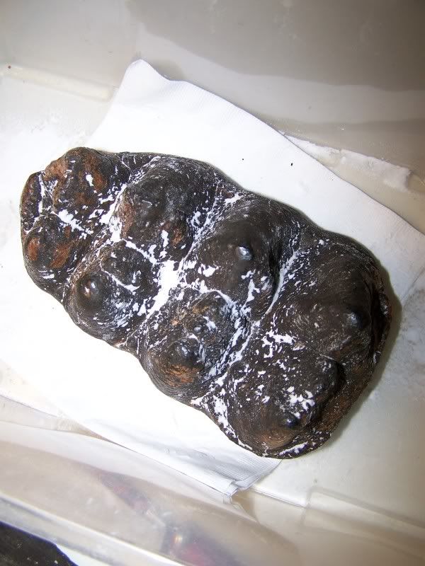 100_9900.jpg