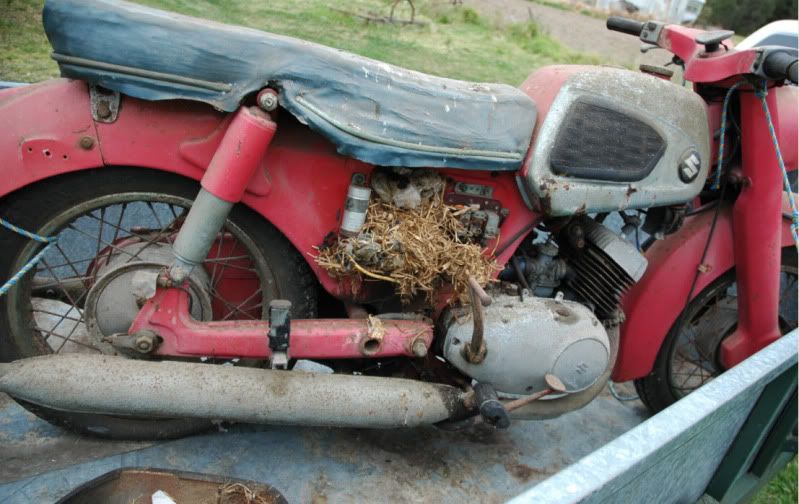 1957Suzuki2.jpg