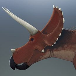 sm-010-Triceratops_zps0a6dcbcd.jpg