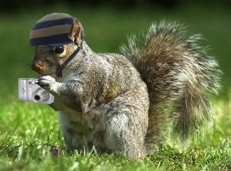 zionist spy squirrel