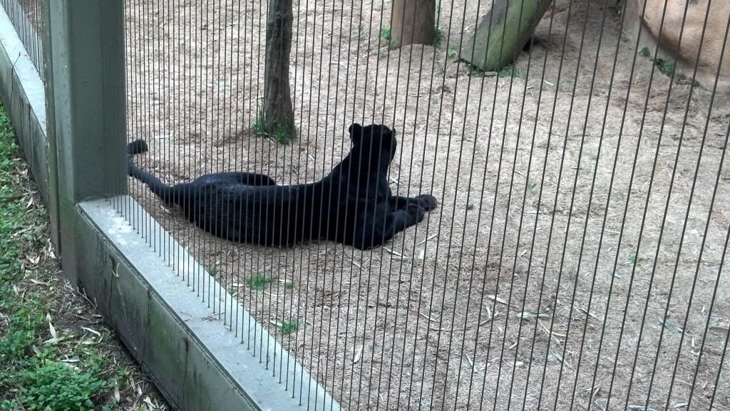 IMG_20130407_101426_535.jpg