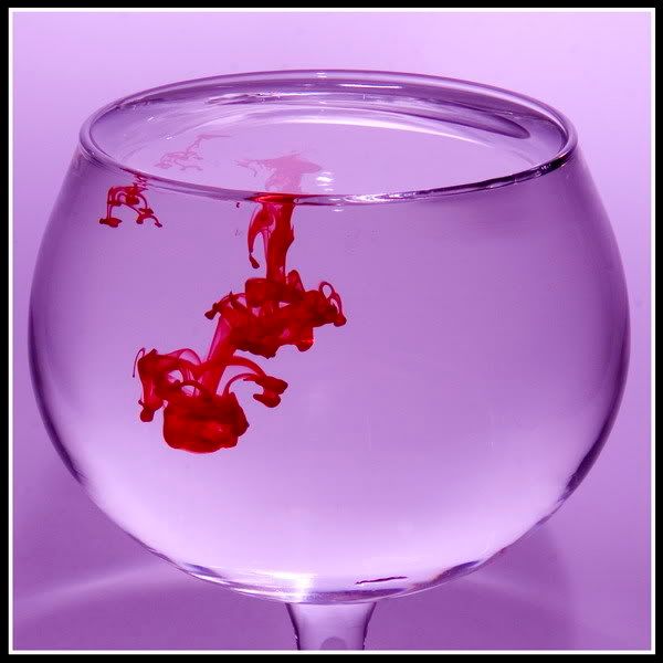 IMAGE: http://i135.photobucket.com/albums/q127/jefflanga/zIMG_0003_resize.jpg