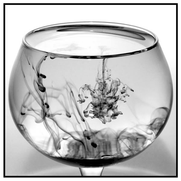 IMAGE: http://i135.photobucket.com/albums/q127/jefflanga/zIMG_0013_resize.jpg