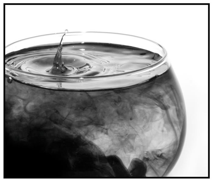 IMAGE: http://i135.photobucket.com/albums/q127/jefflanga/zIMG_0104_resize.jpg