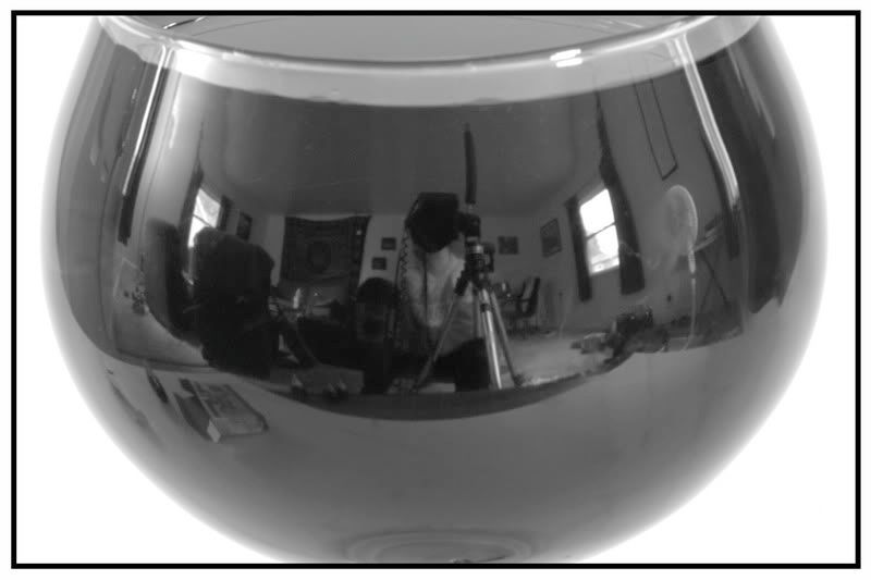 IMAGE: http://i135.photobucket.com/albums/q127/jefflanga/zIMG_0109_resize.jpg