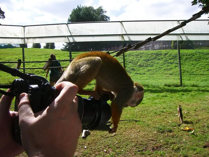 IMAGE: http://i135.photobucket.com/albums/q129/cscottmcqueen/CIMG0705Medium.jpg