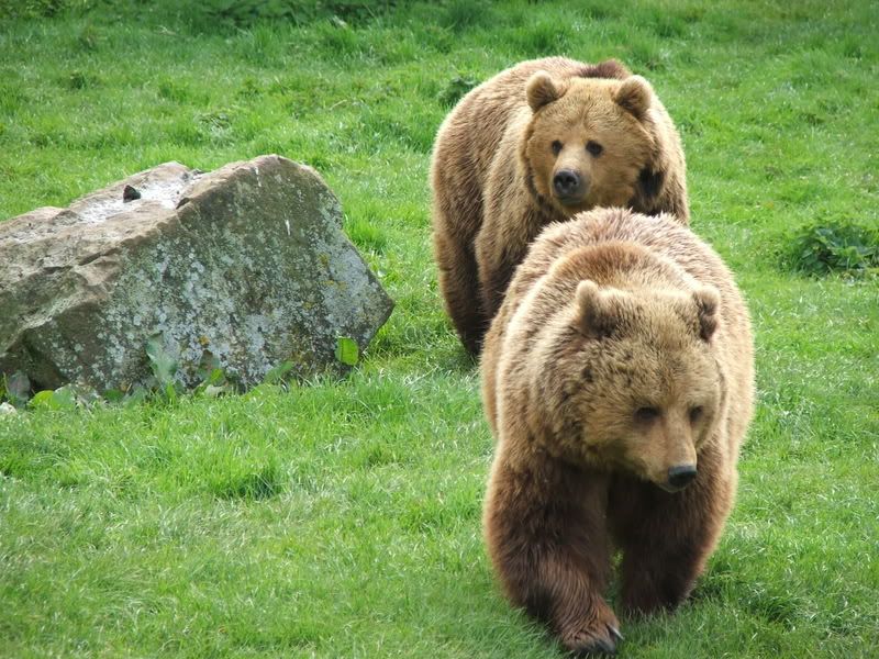 IMAGE: http://i135.photobucket.com/albums/q129/cscottmcqueen/DSCF0364.jpg