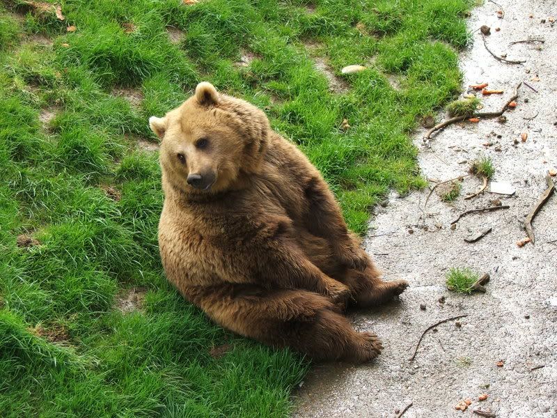 IMAGE: http://i135.photobucket.com/albums/q129/cscottmcqueen/DSCF0370.jpg