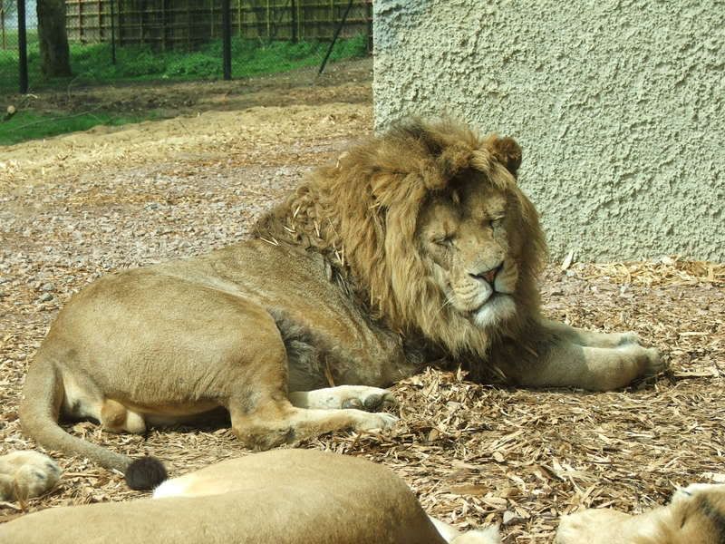 IMAGE: http://i135.photobucket.com/albums/q129/cscottmcqueen/DSCF0427.jpg