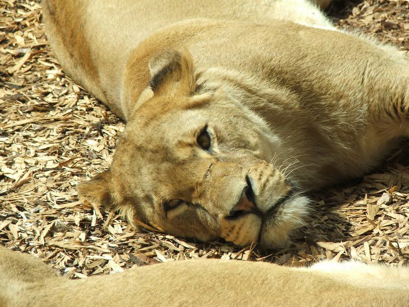 IMAGE: http://i135.photobucket.com/albums/q129/cscottmcqueen/DSCF0437.jpg