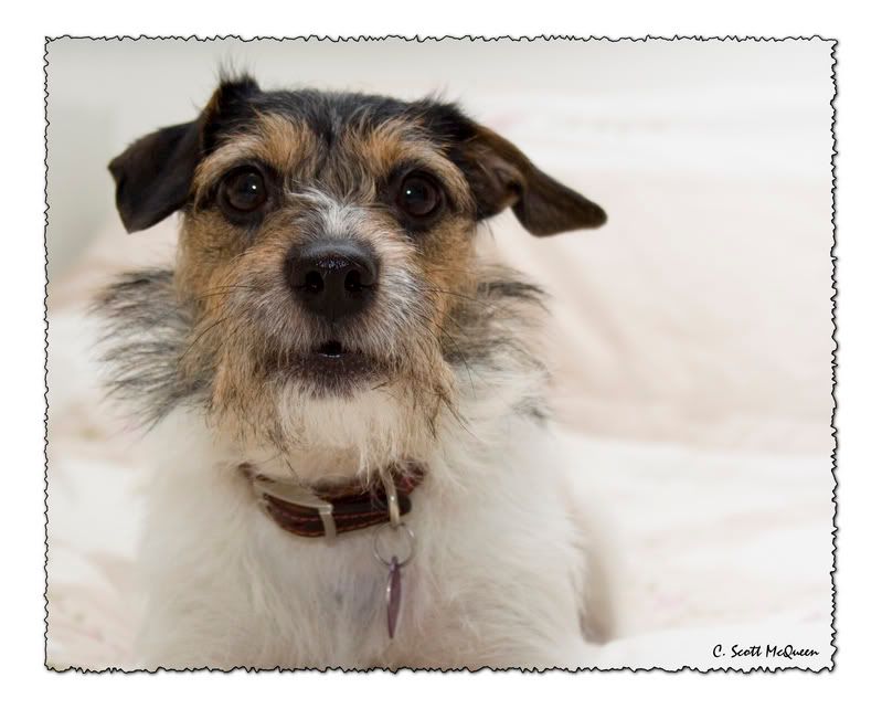 IMAGE: http://i135.photobucket.com/albums/q129/cscottmcqueen/IMG_0036copy.jpg