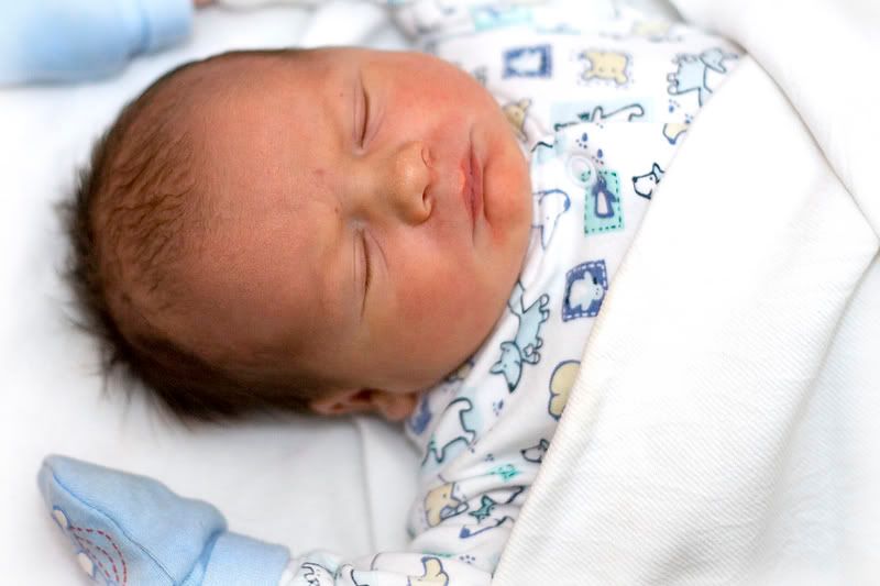 IMAGE: http://i135.photobucket.com/albums/q129/cscottmcqueen/owen_2.jpg