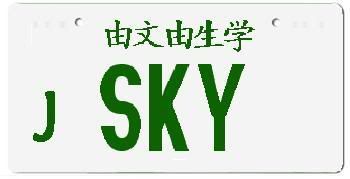 SKY-6.jpg