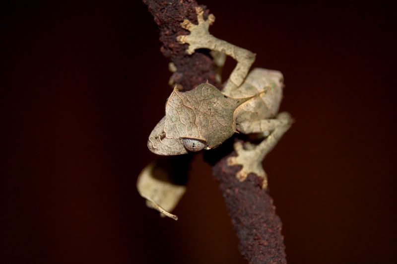 DSC_2993edit.jpg