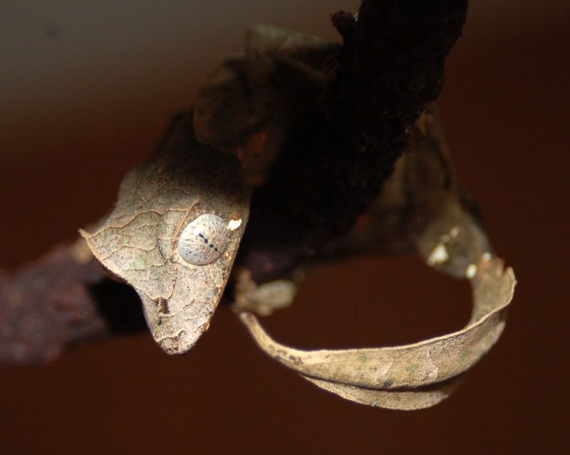 DSC_2994edit.jpg