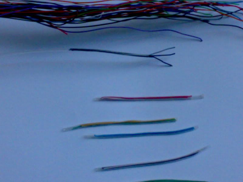 11022009085.jpg