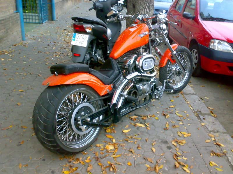 27112009042.jpg