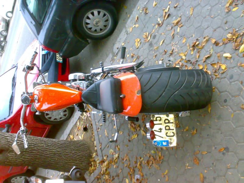 27112009043.jpg