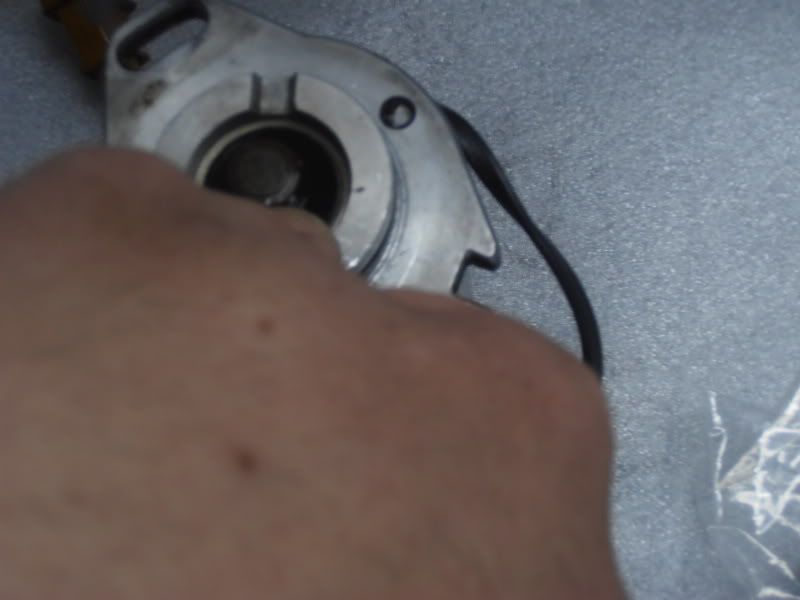 P4140214.jpg