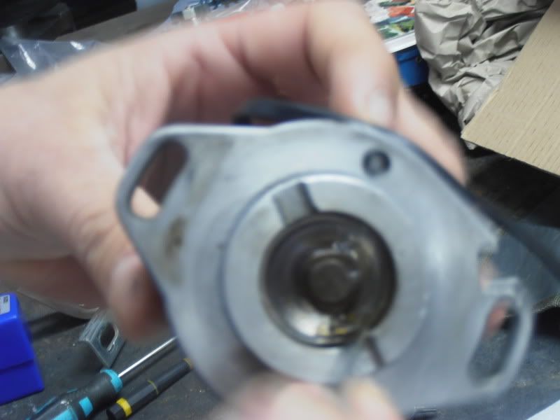 P4140215.jpg