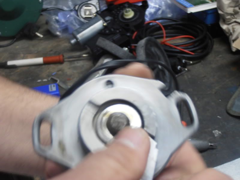 P4140216.jpg