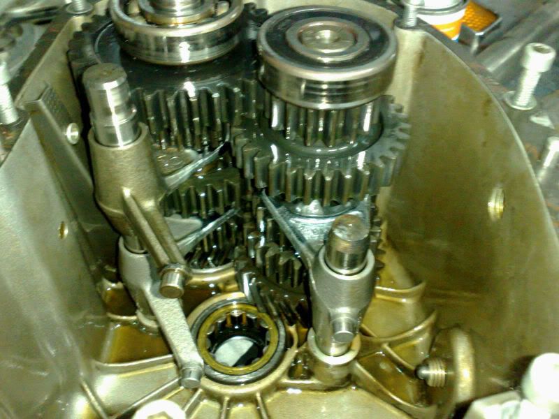 cajaalvata5.jpg