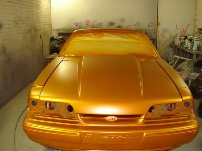 copper colored cars get in here! Ford Mustang Forums