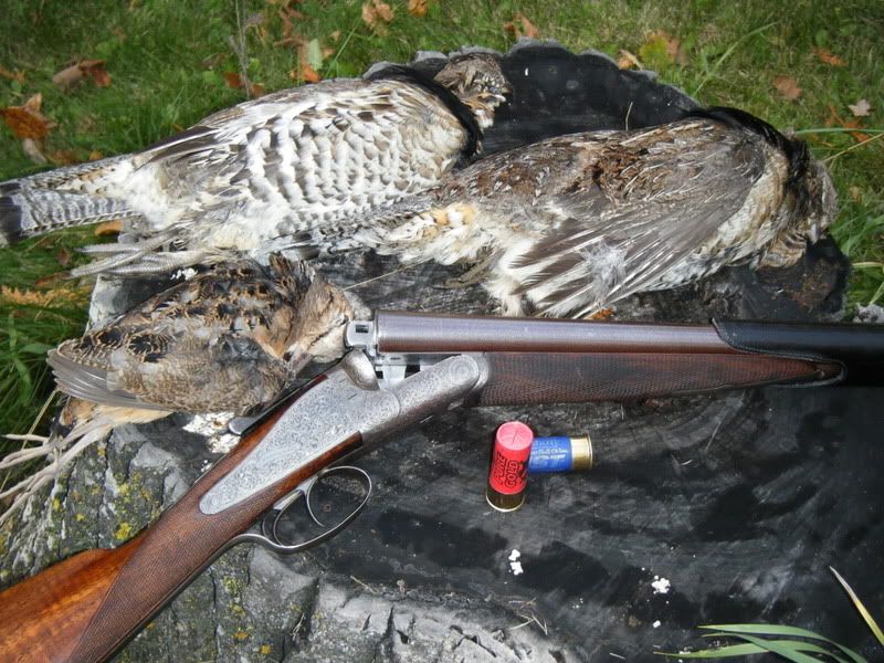 2008 bird hunt
