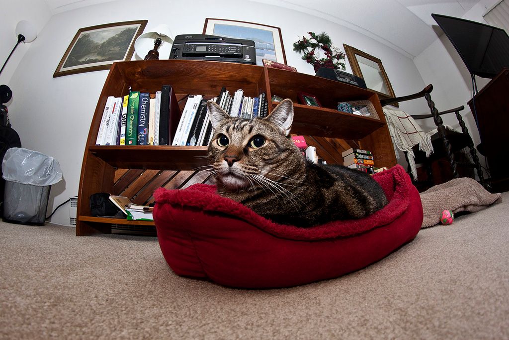 IMAGE: http://i135.photobucket.com/albums/q136/mikee30325/IMG_6051t_zps6a8bf811.jpg