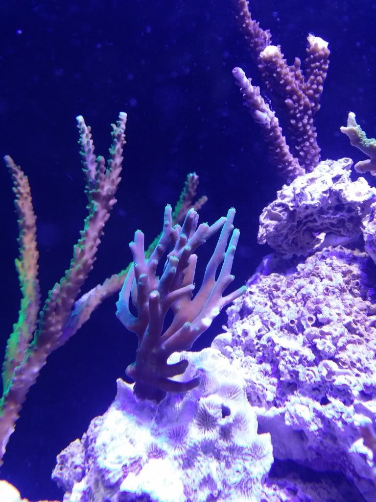 20131110_194104_zps3fbf0422.jpg