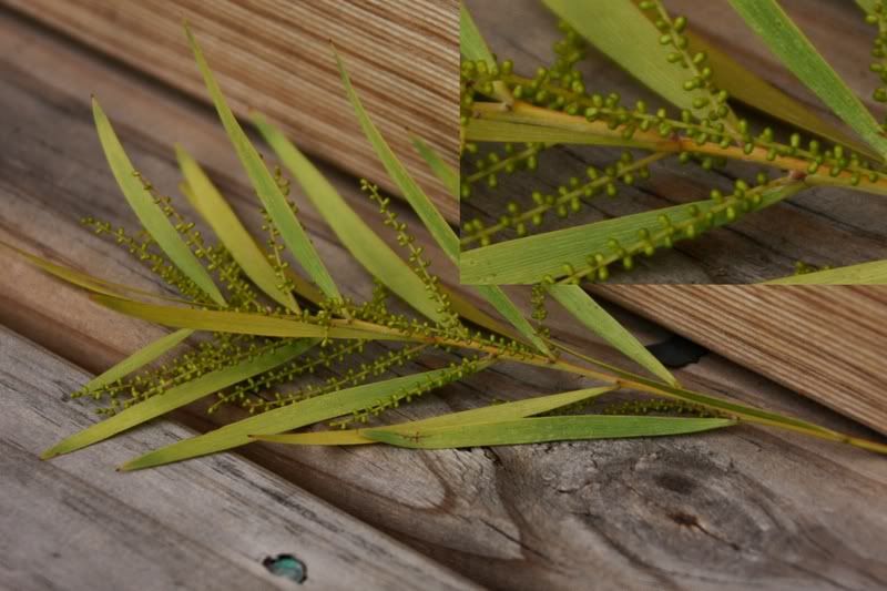 IMAGE: http://i135.photobucket.com/albums/q139/jmcphotography_2007/28300l.jpg