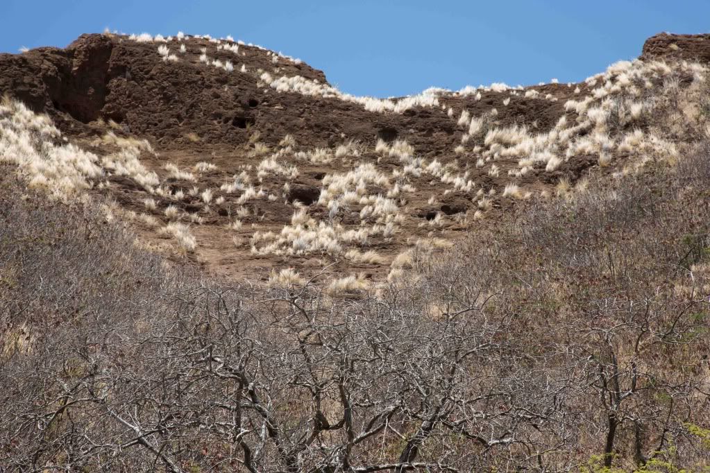 IMAGE: http://i135.photobucket.com/albums/q139/jmcphotography_2007/S73C5470.jpg