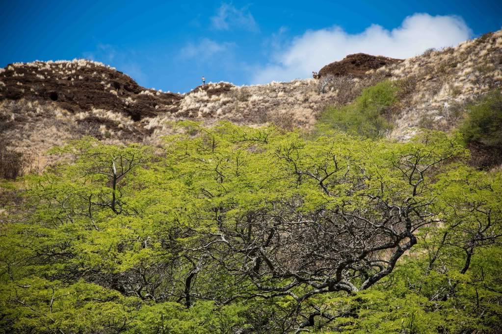 IMAGE: http://i135.photobucket.com/albums/q139/jmcphotography_2007/S73C5473.jpg