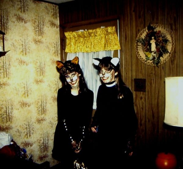 Cats