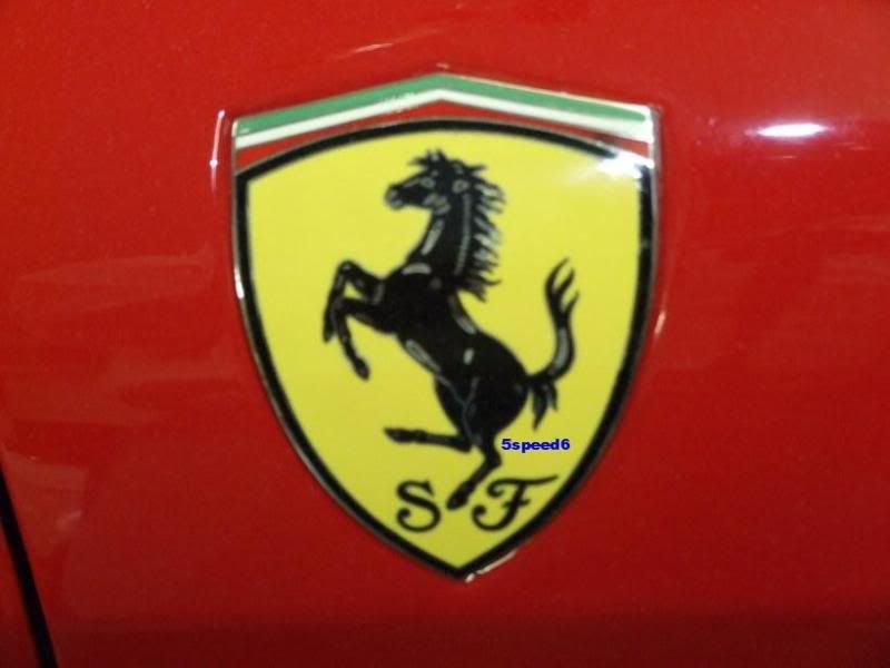 Ferrari 360 F1 Spider install to share AudiWorld Forums
