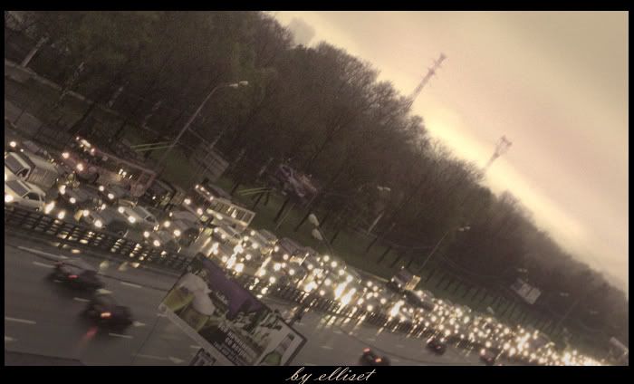 000442.jpg