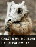 cubone.gif