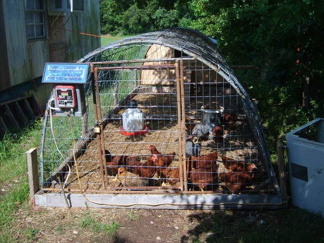 large hen house