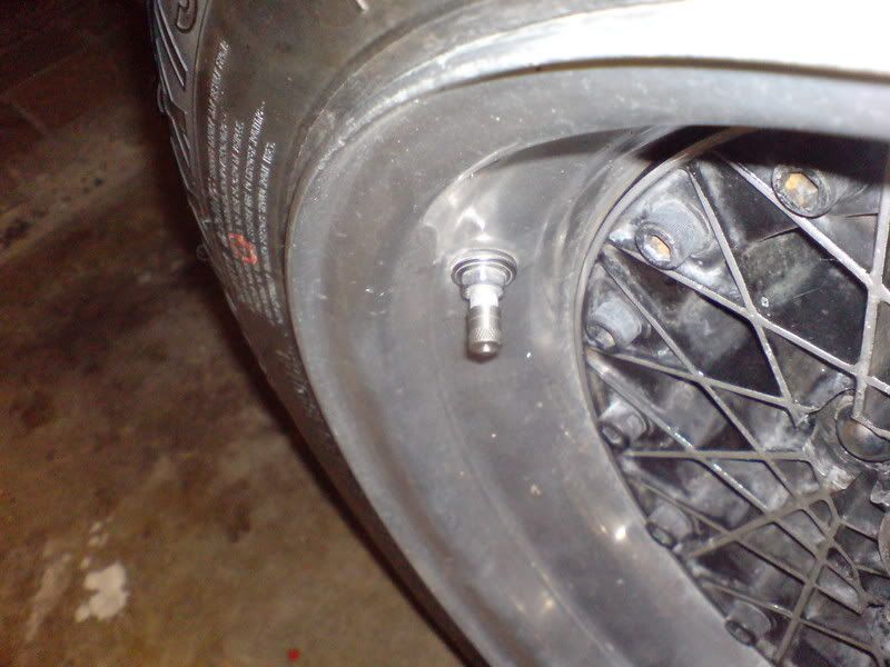DSC00111.jpg