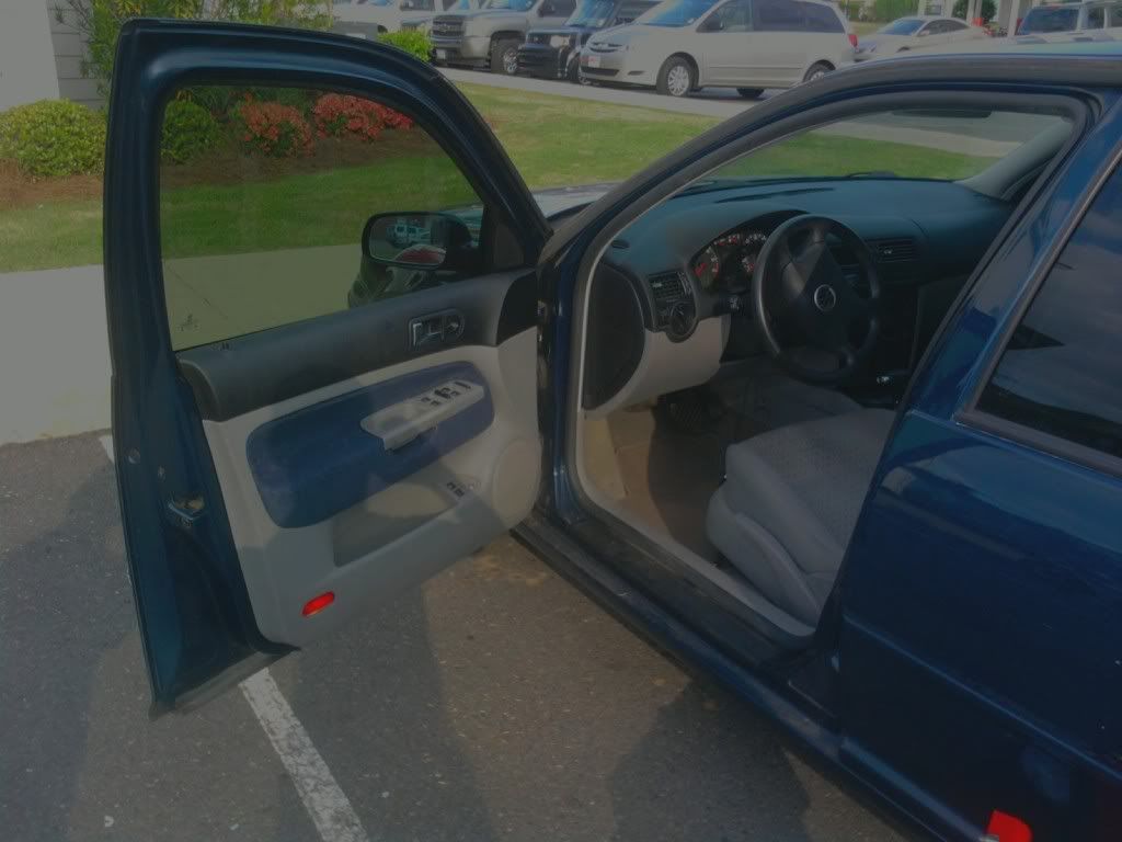 Door Panel Color VW Vortex Volkswagen Forum