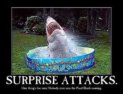 Surprise Attack Pictures, Images and Photos